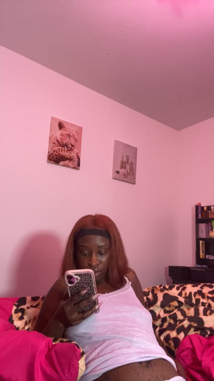 Velvetvandalx